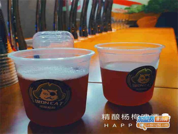 铁喵啤酒加盟费