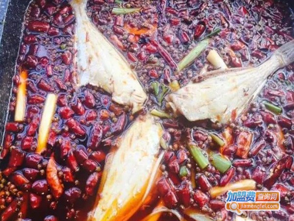 三斤耗儿鱼加盟费