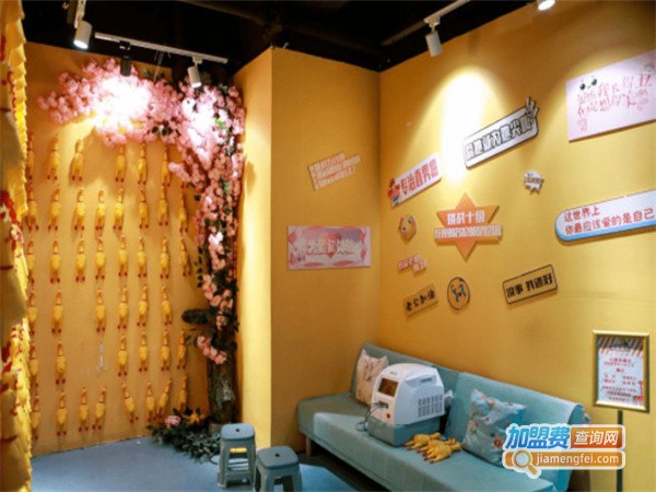 减压休闲馆加盟费