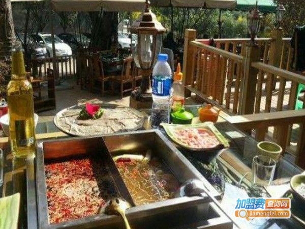 翻转森林加盟门店