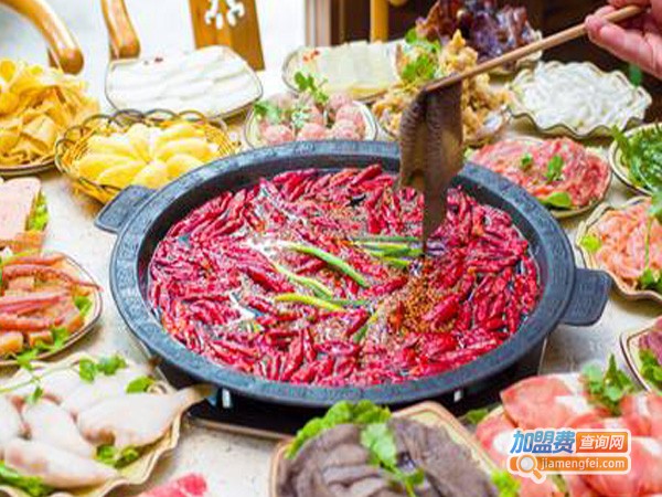 齐琪火锅加盟费