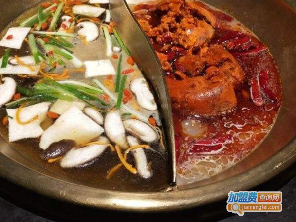 酷哥辣妹火锅加盟费