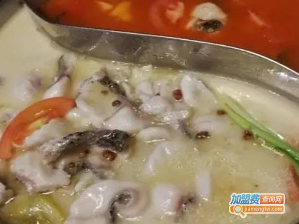 小猫钓鱼加盟费