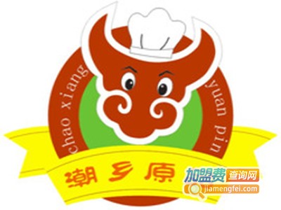 潮乡原品汕头牛肉丸