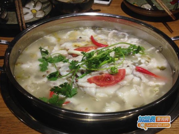 小猫钓鱼加盟费