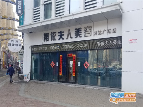 蒂依夫人美容加盟费