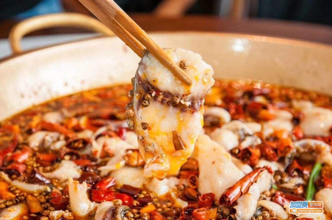 鱼主义火锅加盟费