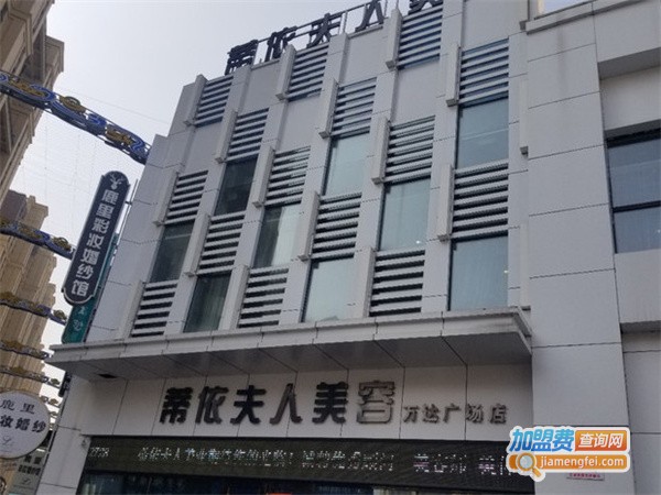 蒂依夫人美容加盟费