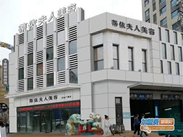 蒂依夫人美容加盟费