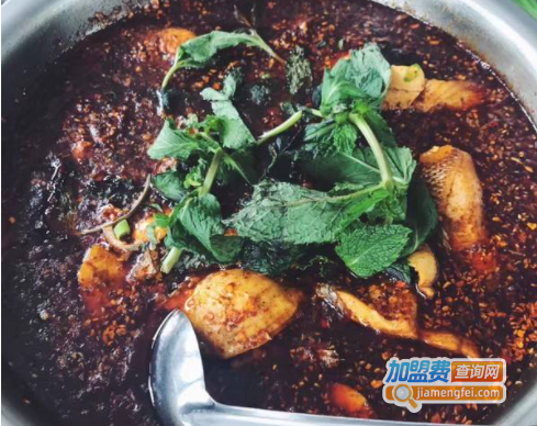 渔蛙风情火锅加盟费