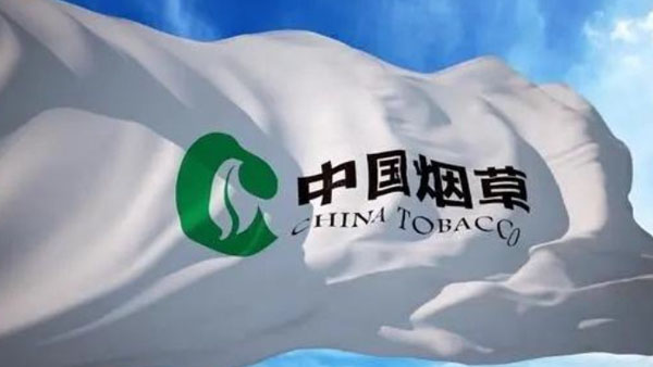 一张烟草证一年能赚多少钱？