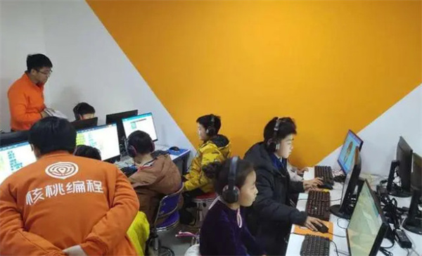 核桃星球少儿编程