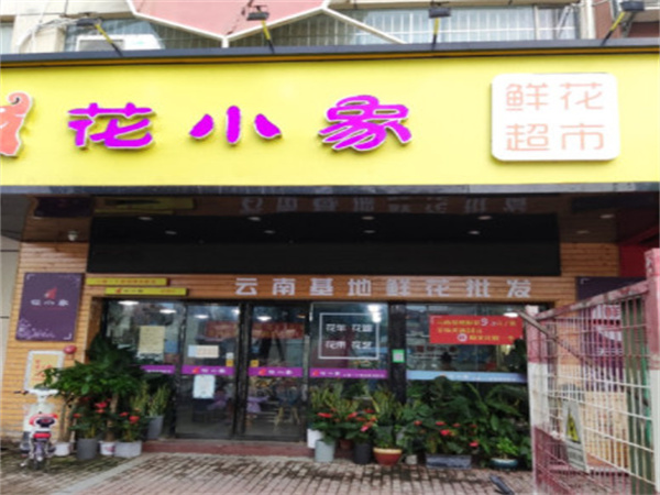 花小象鲜花加盟费多少？
