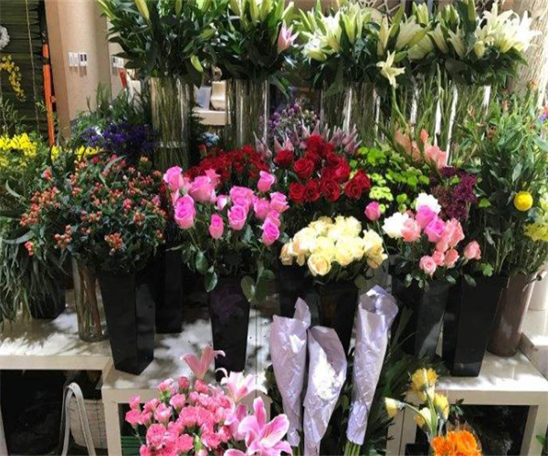 沪花拾者
