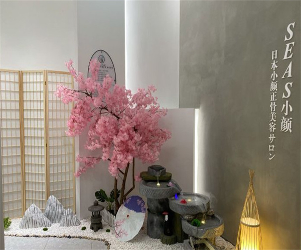 小颜日本皮肤管理加盟费