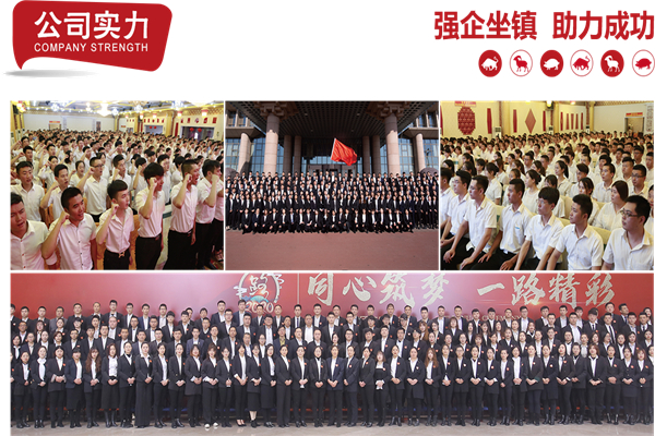 牛太堡牛排牛尾一锅香