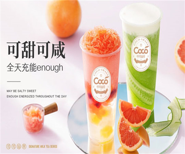 可可仙草加盟费