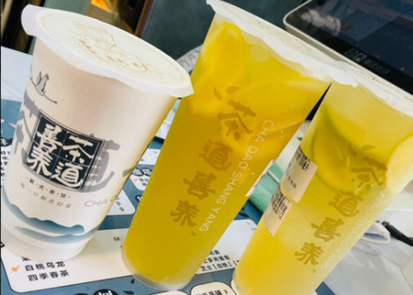 茶道善养加盟费