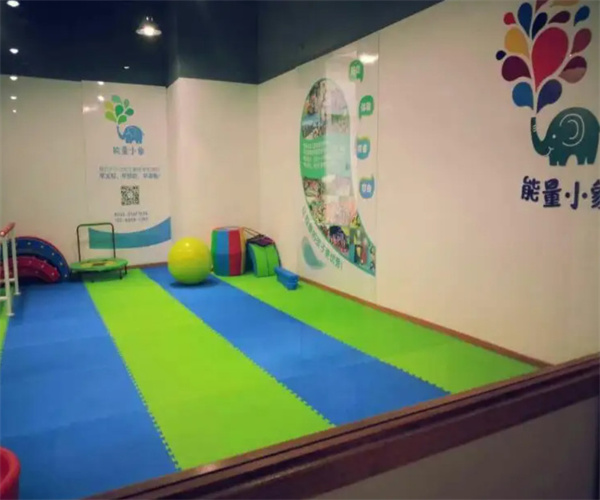 能量小象感统教育加盟费