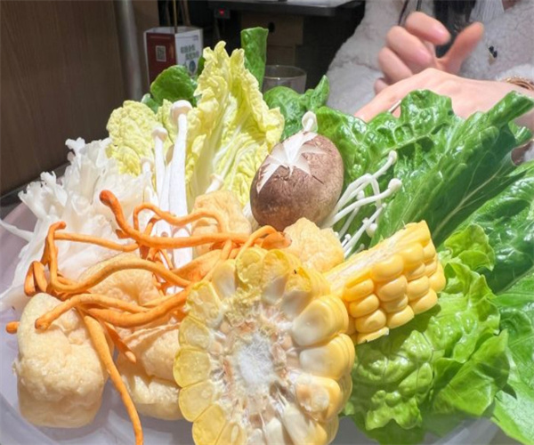 留下来砂锅加盟费