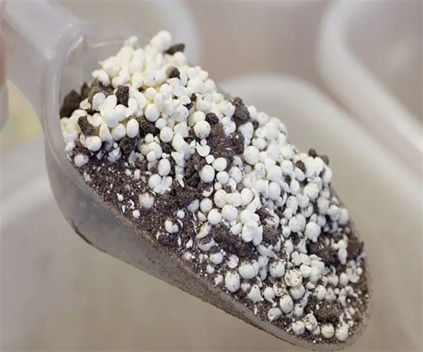 猫砂冰激凌加盟费