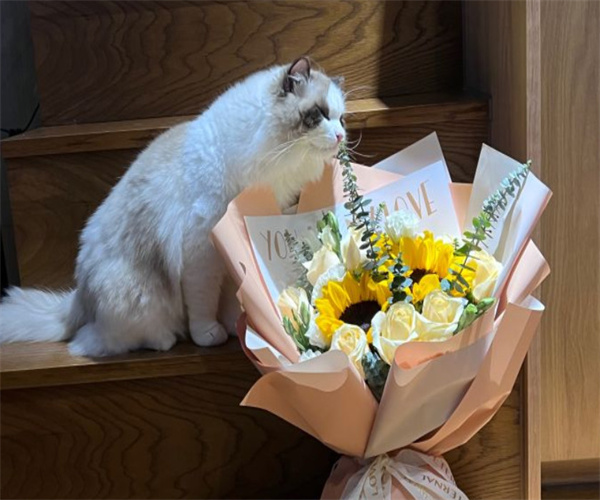 那些花儿鲜花店加盟