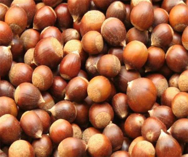 坚强的松鼠零食加盟费