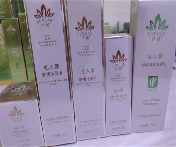 芦媛仙人掌加盟费