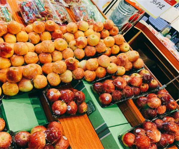 南菠万鲜果加盟费