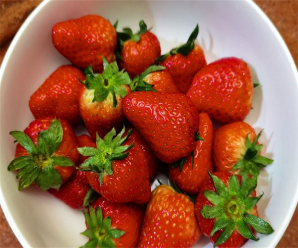 攀果地水果店加盟费