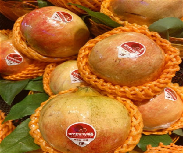 攀果地水果店加盟费