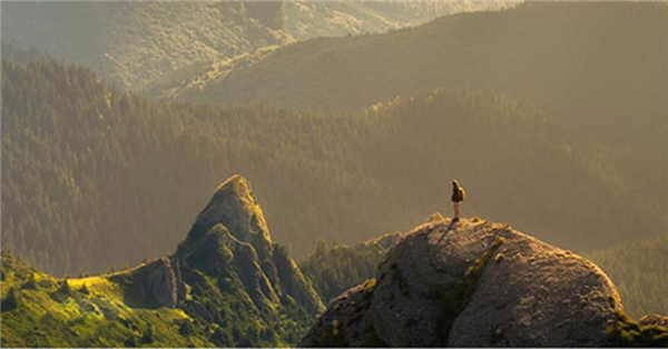 自然乐园加盟费