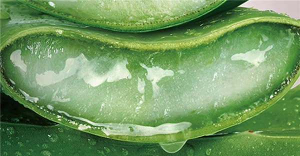 自然乐园加盟费