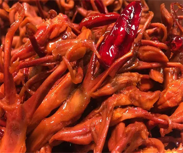 杨氏现捞加盟费