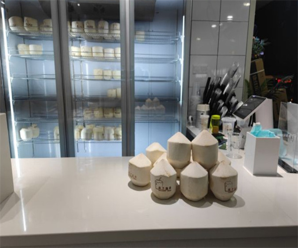 椰子脑袋加盟费