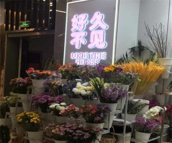 郝漂亮鲜花生活馆加盟