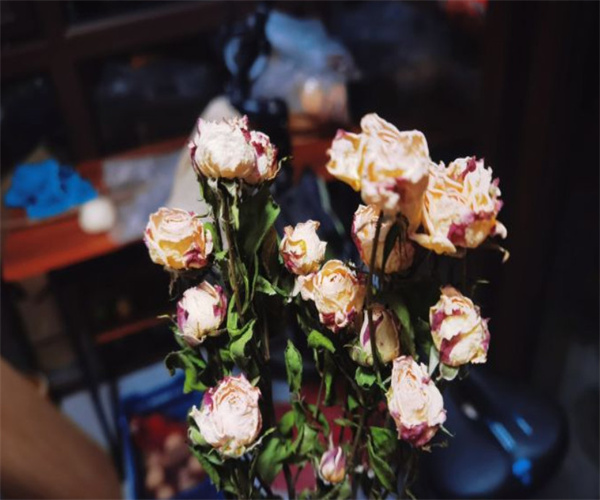 郝漂亮鲜花生活馆加盟