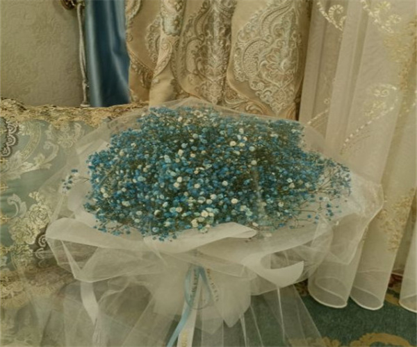 郝漂亮鲜花生活馆加盟