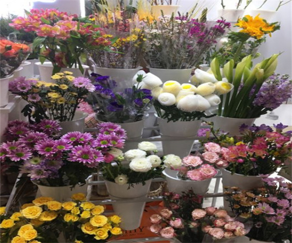 郝漂亮鲜花生活馆加盟