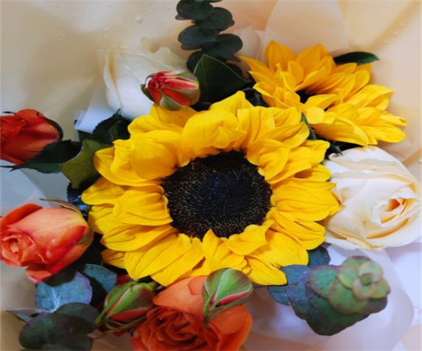 花小蕾鲜花店加盟