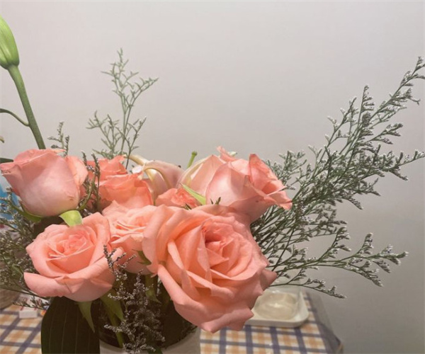 花小蕾鲜花店加盟