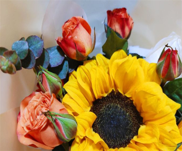 花小蕾鲜花店加盟