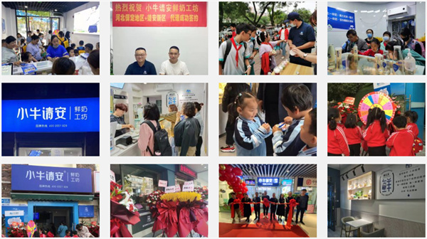 小牛请安鲜奶加盟