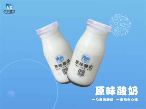 小牛请安鲜奶加盟
