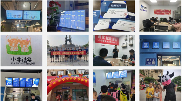 小牛请安鲜奶加盟