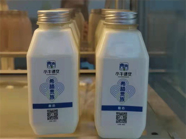 小牛请安鲜奶加盟