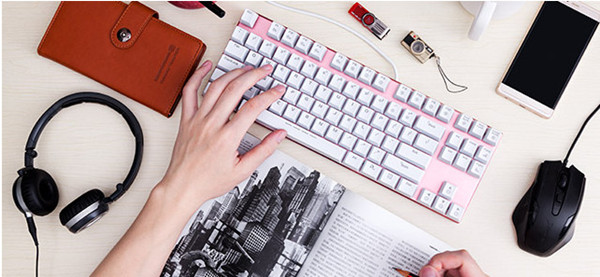 食在满意加盟费