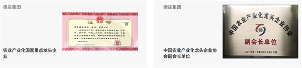 重庆德庄火锅