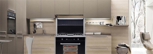 扬子集成灶加盟