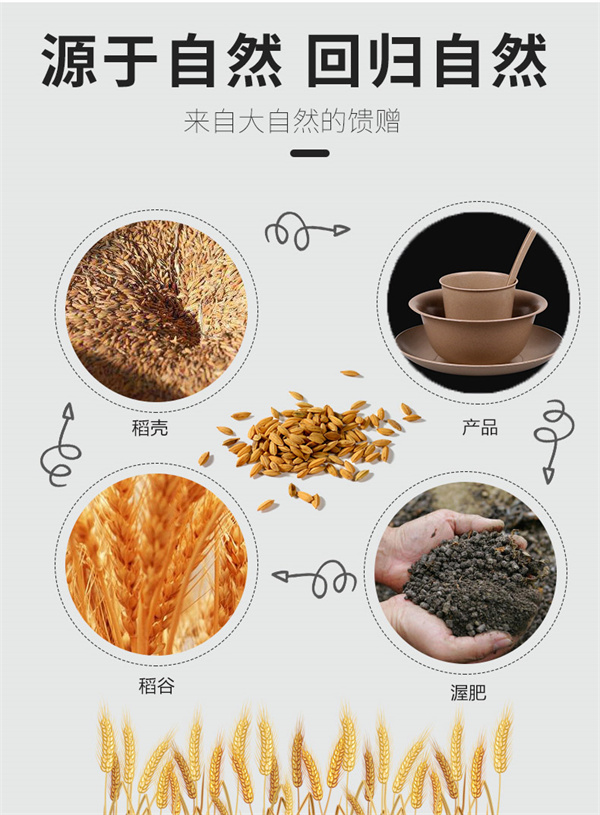 百卫诺一次性餐具加盟